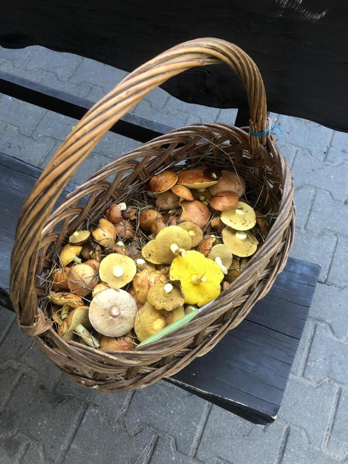 Slonce Mazur Hotel Dzwierzuty Bagian luar foto
